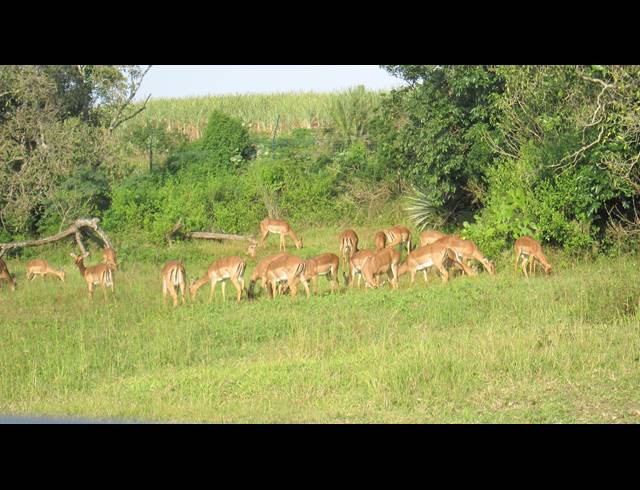 569M² VACANT LAND FOR SALE IN PALM LAKES ESTATE